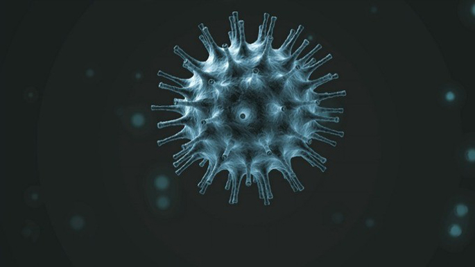 Virus