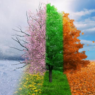 Les saisons des&nbsp;idées