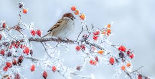 Soupçon d&rsquo;air