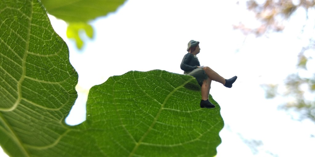 Une simple tentative