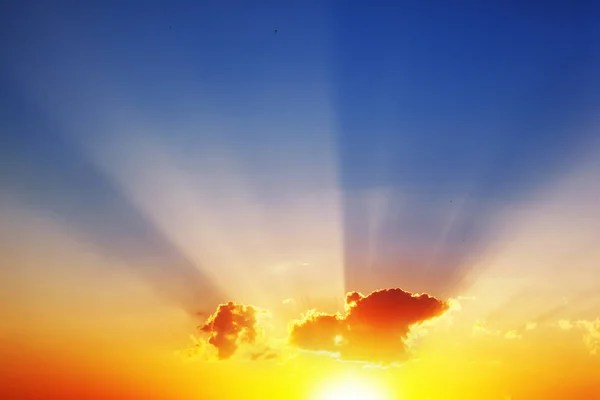 Le souvenir immortel